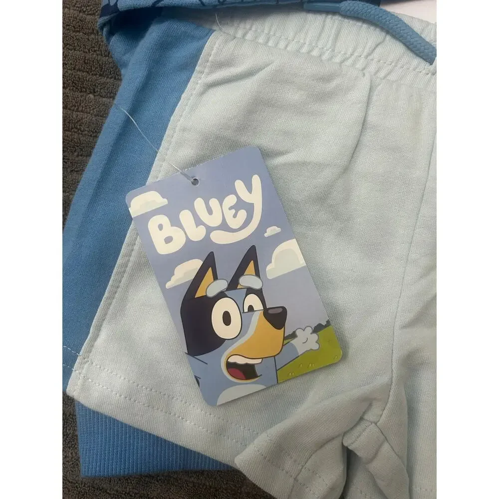 Bluey new tags